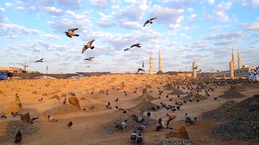 حال و هوای بقیع