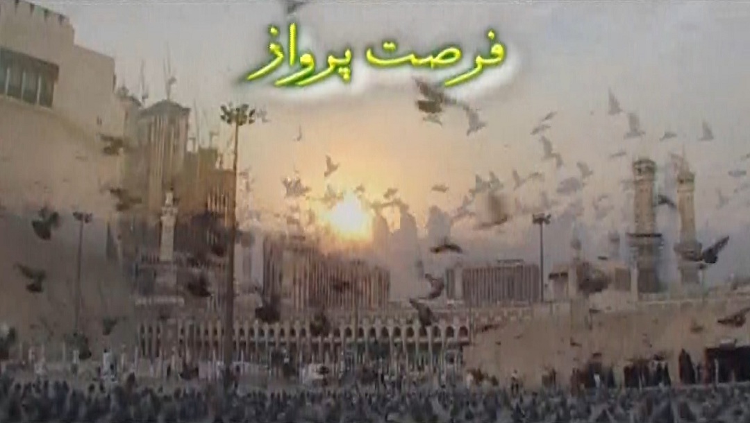 فرصت پرواز - قسمت 2