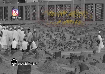ویژه شهادت امام باقر علیه السلام با نوای حاج میثم مطیعی