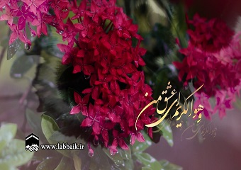 ویژه میلاد امام حسن مجتبی علیه السلام - با نوای سید مجید بنی فاطمه