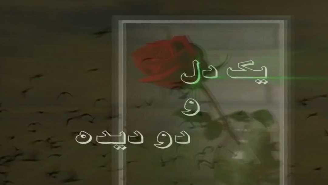 یک دل دو دیده 