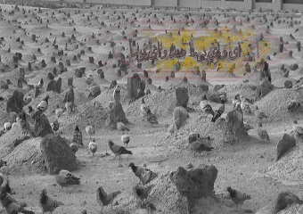 دلها میسوزد برای غربت شما با نوای حاج میثم مطیعی