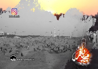 ویژه شهادت امام باقر علیه السلام با نوای حاج محمود کریمی
