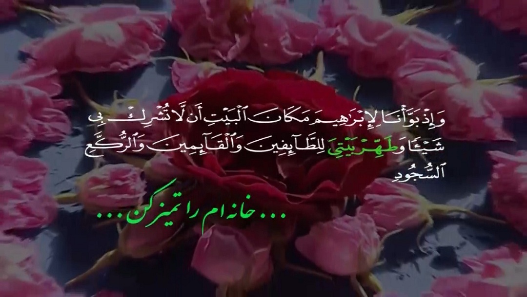 خانه ام را تمیز کن