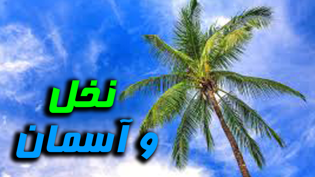 نخل و آسمان