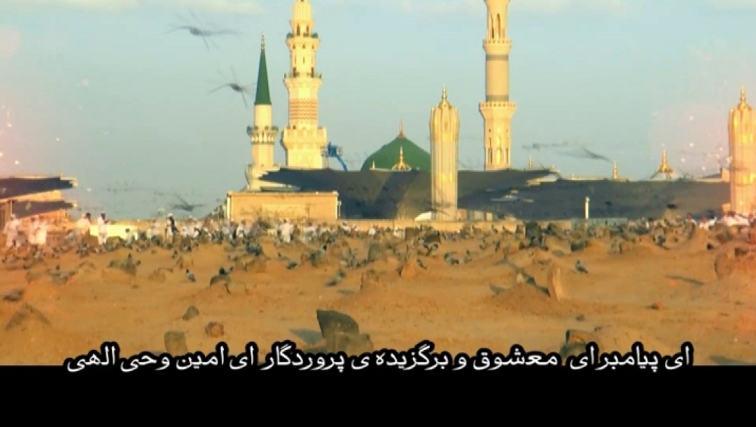 نماهنگ زیبای انت حبیب المصطفی (ص)